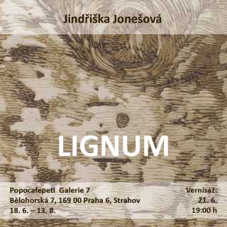 Lignum